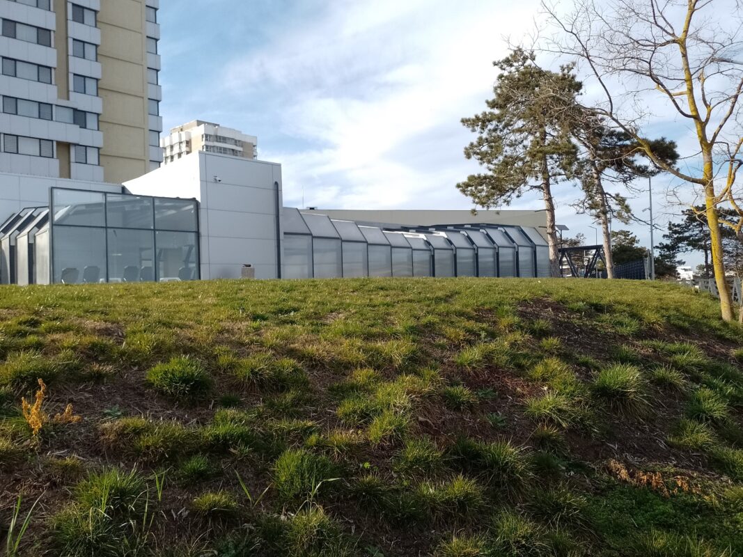 Imagine WhatsApp 2025-08-21 la 16.15.57_a73c4fe9