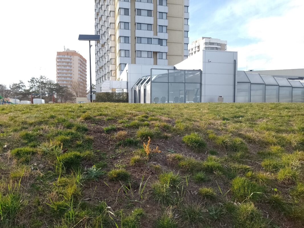 Imagine WhatsApp 2025-08-21 la 16.15.57_bf425e95