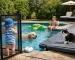 Protectie piscina copii animale: ce alegi